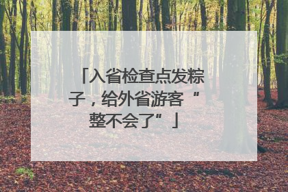 入省检查点发粽子，给外省游客“整不会了”