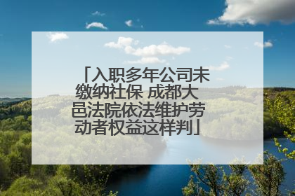 入职多年公司未缴纳社保 成都大邑法院依法维护劳动者权益这样判