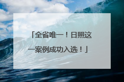 全省唯一！日照这一案例成功入选！