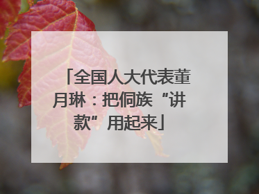 全国人大代表董月琳：把侗族“讲款”用起来