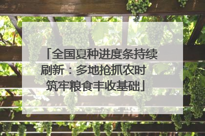 全国夏种进度条持续刷新：多地抢抓农时 筑牢粮食丰收基础
