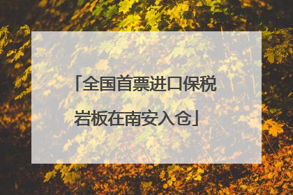 全国首票进口保税岩板在南安入仓