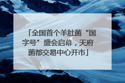 全国首个羊肚菌“国字号”盛会启幕，天府菌都交易中心开市