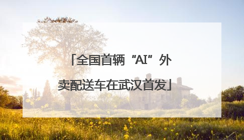 全国首辆“AI”外卖配送车在武汉首发