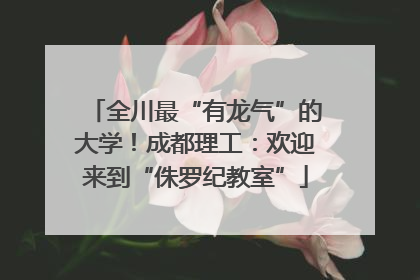 全川最“有龙气”的大学！成都理工：欢迎来到“侏罗纪教室”