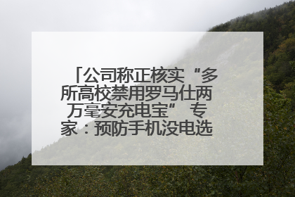 公司称正核实“多所高校禁用罗马仕两万毫安充电宝” 专家：预防手机没电选中等体积产品即可