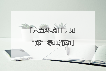 六五环境日，见“郑”绿意涌动
