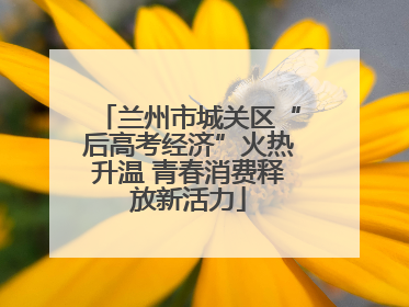 兰州市城关区“后高考经济”火热升温 青春消费释放新活力