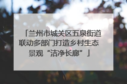 兰州市城关区五泉街道联动多部门打造乡村生态景观“洁净长廊”