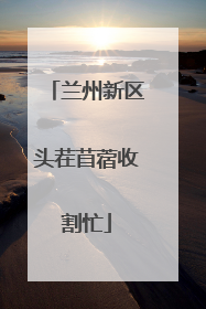 兰州新区头茬苜蓿收割忙