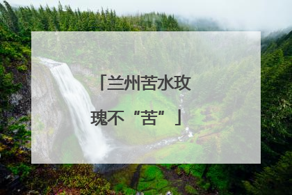 兰州苦水玫瑰不“苦”