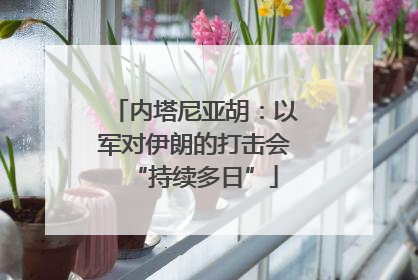 内塔尼亚胡：以军对伊朗的打击会“持续多日”