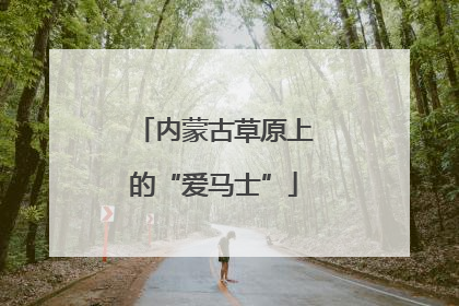 内蒙古草原上的“爱马士”