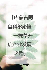 内蒙古阿鲁科尔沁旗：一棵草开启产业发展之路