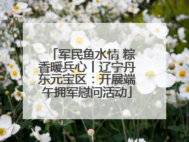军民鱼水情 粽香暖兵心丨辽宁丹东元宝区：开展端午拥军慰问活动