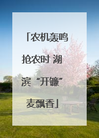 农机轰鸣抢农时 湖滨“开镰”麦飘香