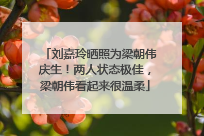 刘嘉玲晒照为梁朝伟庆生！两人状态极佳，梁朝伟看起来很温柔