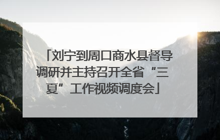 刘宁到周口商水县督导调研并主持召开全省“三夏”工作视频调度会