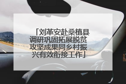 刘革安赴桑植县调研巩固拓展脱贫攻坚成果同乡村振兴有效衔接工作