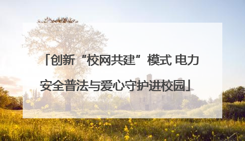 创新“校网共建”模式 电力安全普法与爱心守护进校园