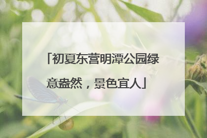 初夏东营明潭公园绿意盎然，景色宜人