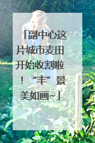 副中心这片城市麦田开始收割啦！“丰”景美如画~
