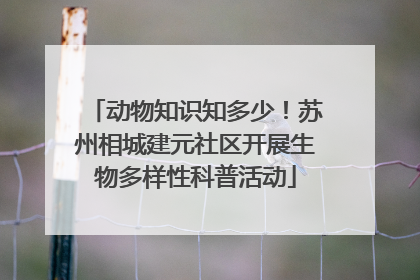 动物知识知多少！苏州相城建元社区开展生物多样性科普活动