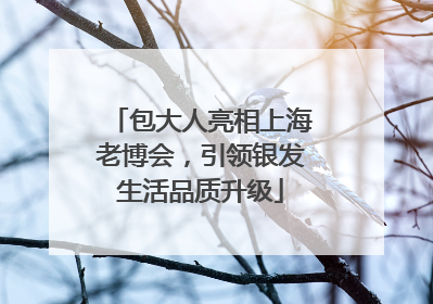 包大人亮相上海老博会，引领银发生活品质升级