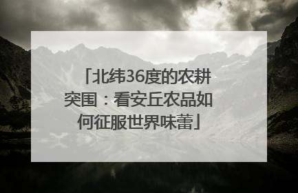 北纬36度的农耕突围：看安丘农品如何征服世界味蕾