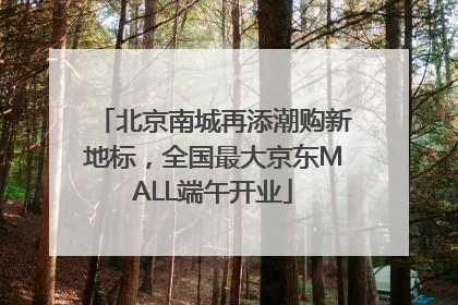 北京南城再添潮购新地标，全国最大京东MALL端午开业