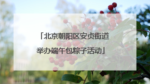 北京朝阳区安贞街道举办端午包粽子活动