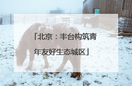 北京：丰台构筑青年友好生态城区