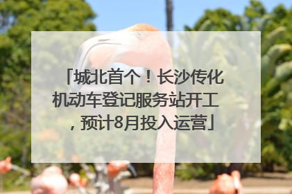 城北首个！长沙传化机动车登记服务站开工，预计8月投入运营