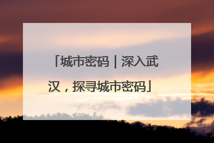 城市密码｜深入武汉，探寻城市密码