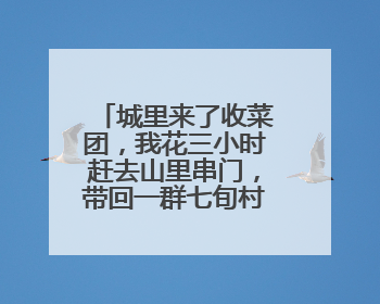 城里来了收菜团，我花三小时赶去山里串门，带回一群七旬村民的心愿