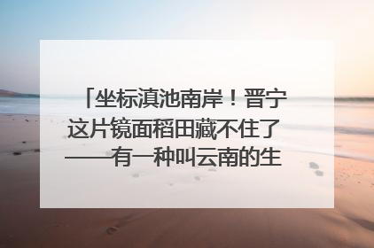 坐标滇池南岸！晋宁这片镜面稻田藏不住了——有一种叫云南的生活之365天