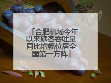 合肥机场今年以来旅客吞吐量同比增幅位居全国第一方阵