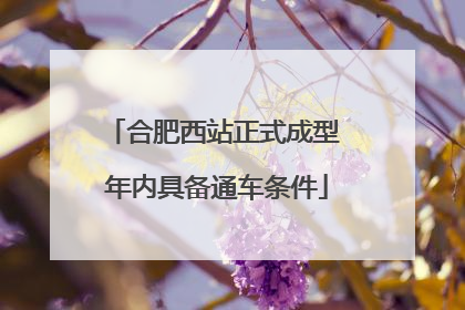 合肥西站正式成型 年内具备通车条件