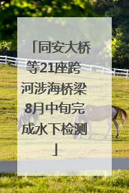 同安大桥等21座跨河涉海桥梁8月中旬完成水下检测