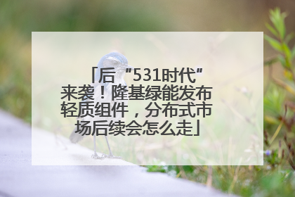 后“531时代”来袭！隆基绿能发布轻质组件，分布式市场后续会怎么走