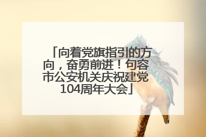 向着党旗指引的方向，奋勇前进！句容市公安机关庆祝建党104周年大会