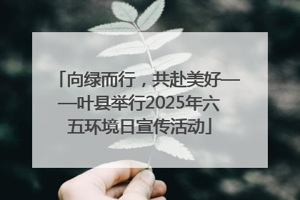向绿而行，共赴美好——叶县举行2025年六五环境日宣传活动