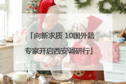向新求质 10国外籍专家开启西安调研行