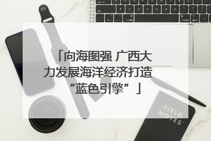 向海图强 广西大力发展海洋经济打造“蓝色引擎”