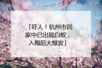 吓人！杭州市民家中已出现白蚁，入梅后大爆发