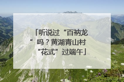 听说过“百衲龙”吗？黄湖青山村“花式”过端午