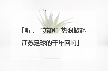 听，“苏超”热浪掀起江苏足球的千年回响
