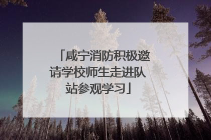 咸宁消防积极邀请学校师生走进队站参观学习