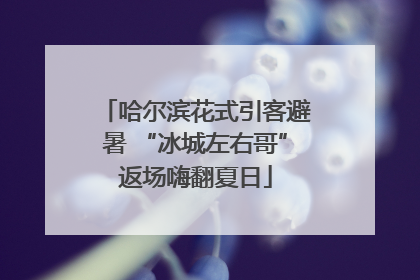 哈尔滨花式引客避暑 “冰城左右哥”返场嗨翻夏日