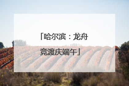 哈尔滨：龙舟竞渡庆端午